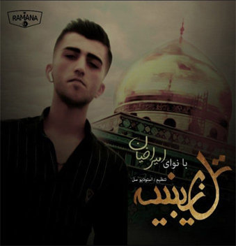 امیر اخیان تل زینبیه